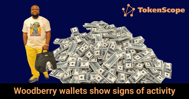 Woodberry wallets show signs of activity 
